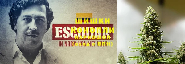 МДПВ Белокуриха