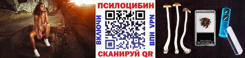 цены наркотик  Заринск  Псилоцибиновые грибы Magic Shrooms 